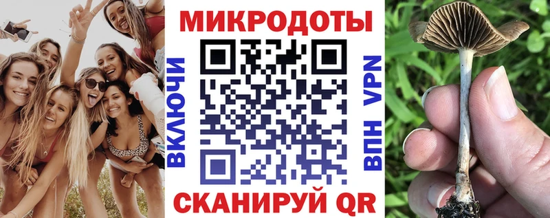 Купить Луза Галлюциногенные грибы Psilocybine cubensis